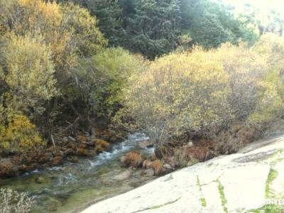 Cerro de la Camorza: Vistas Impresionantes de La Pedriza y el Yelmo;el senderista recorridos por mad